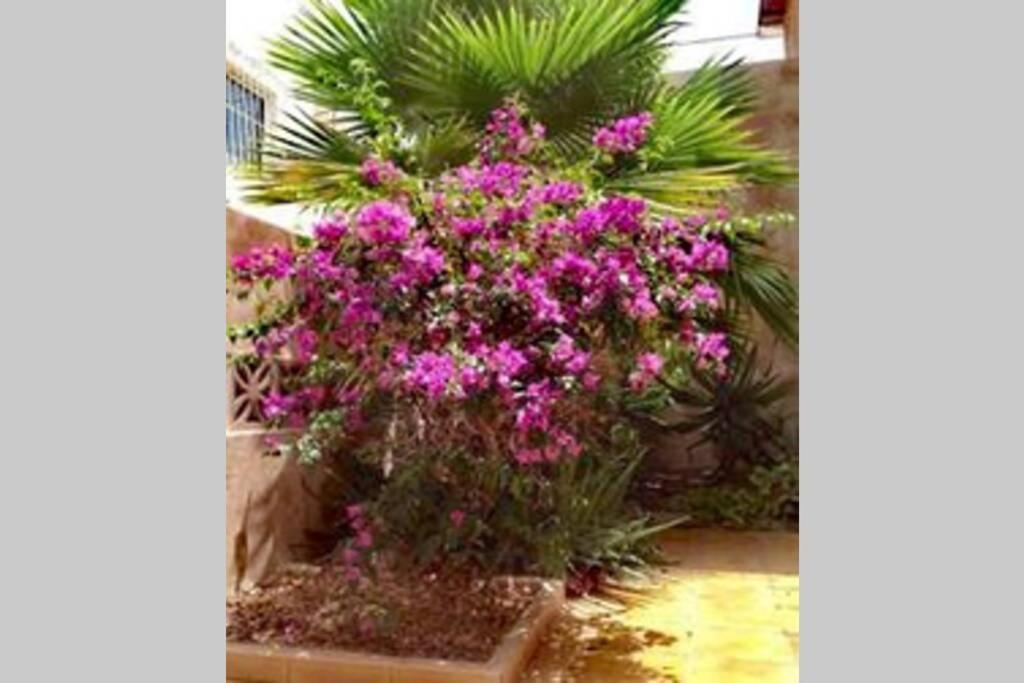 Semi-Detached Villa Sea Views, Huge Terrace, Close Beach Палм-мар Екстериор снимка